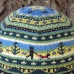 The Latah Trail Beanie